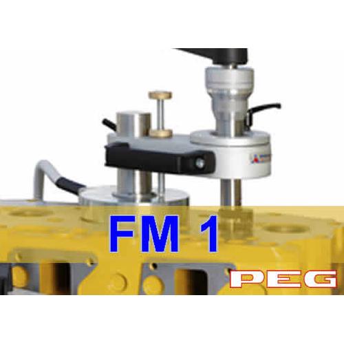 PEG FM1